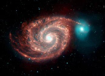 Spitzer Space Telescope infraroodbeeld van de Whirlpool Galaxy. Vreemde structuren overbruggen de gaten tussen stofrijke spiraalarmen en tonen het stof, gas en de sterrenpopulaties in de heldere spiraalgalaxie.